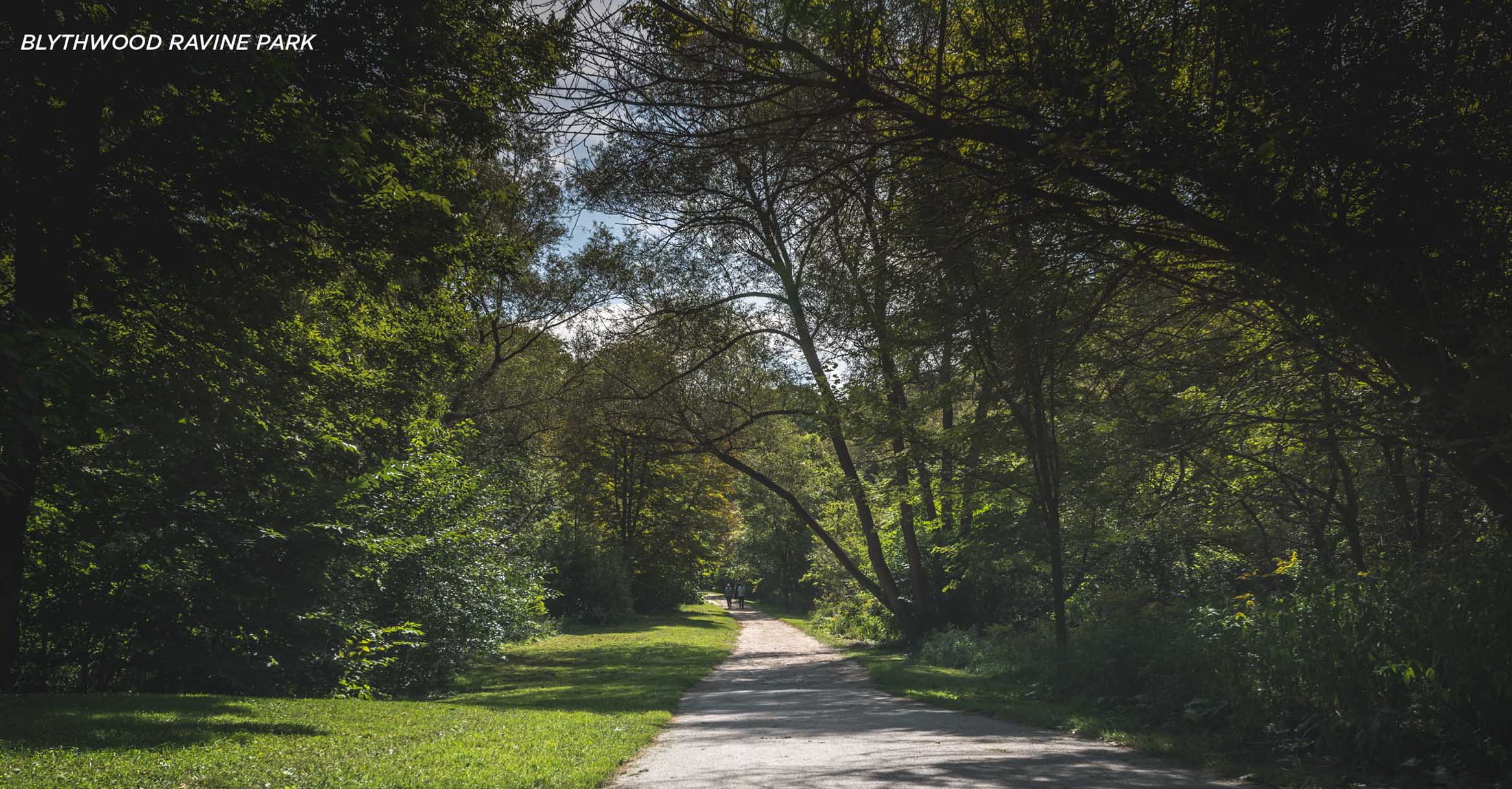 Blythewood Park